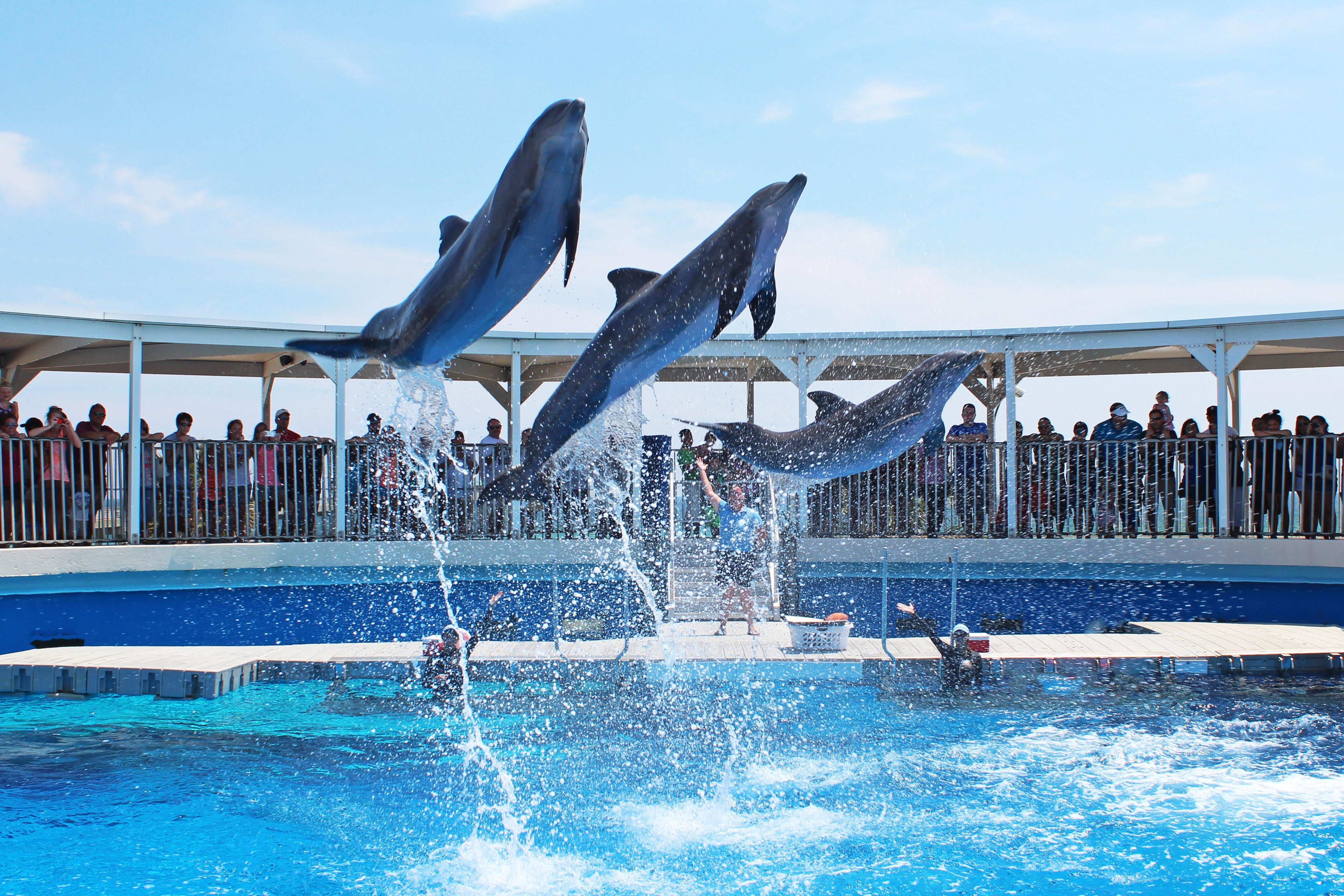 Holiday Inn Resort Fort Walton Beach, An Ihg Hotel Exterior photo